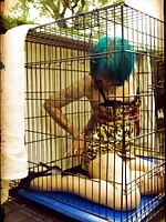 B caged animal