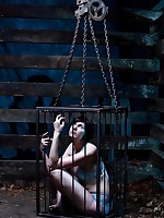 Shackled Maidens Picture
