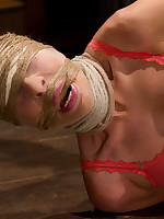 Hogtied Picture