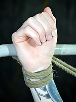 Hard Tied Picture