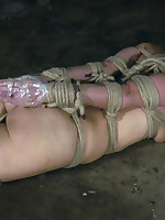 Hard Tied Picture