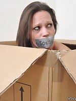 Topless brunette bound in a box