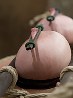 Annika Returns to HogTied